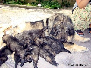 avec maman